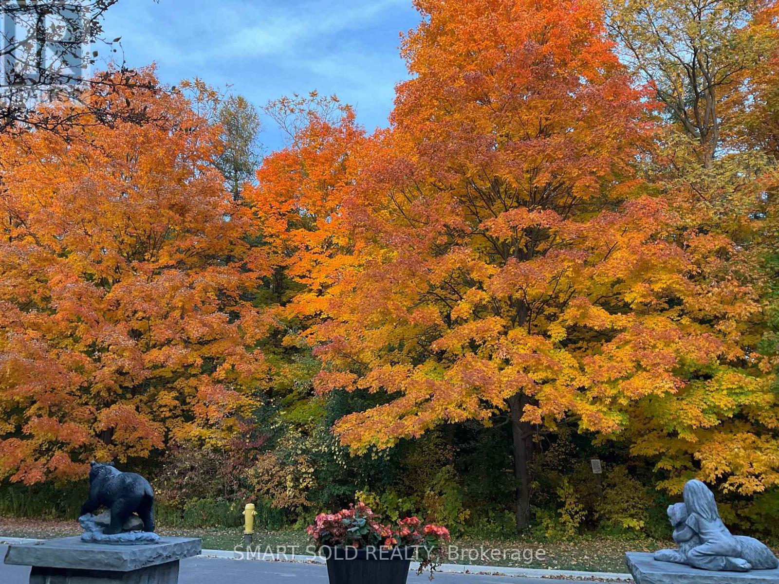 48 Montgomery Court, Markham, Ontario  L3R 0C2 - Photo 46 - N12952618