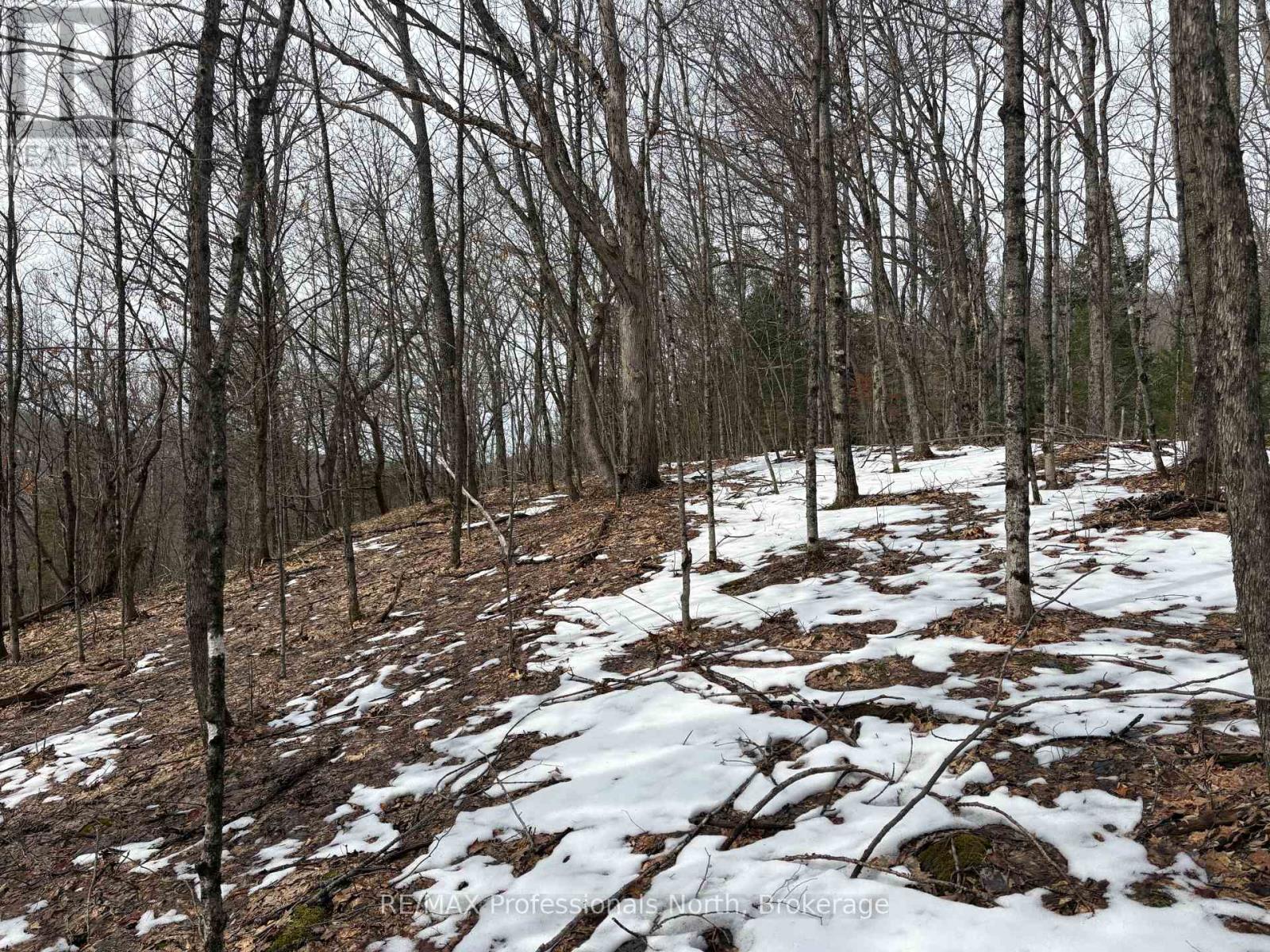 0 Trapper's Trail Road, Dysart Et Al, Ontario  K0M 1S0 - Photo 18 - X12953098