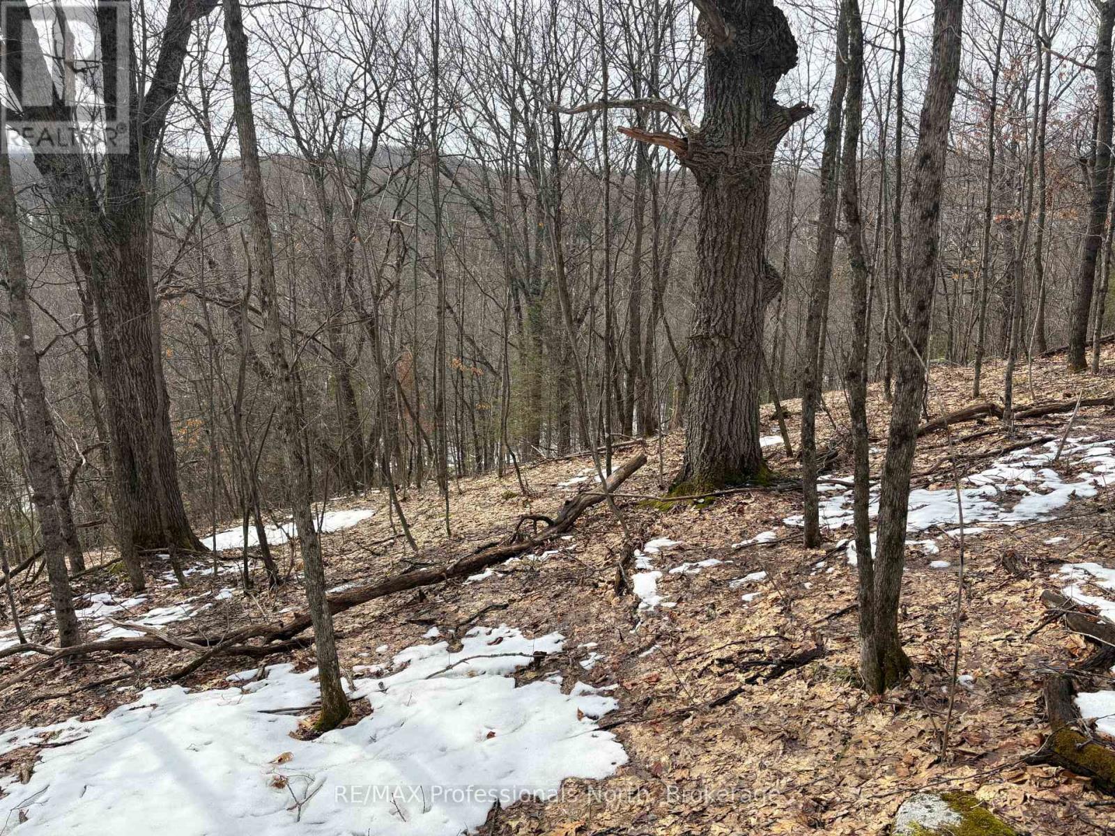 0 Trapper's Trail Road, Dysart Et Al, Ontario  K0M 1S0 - Photo 19 - X12953098