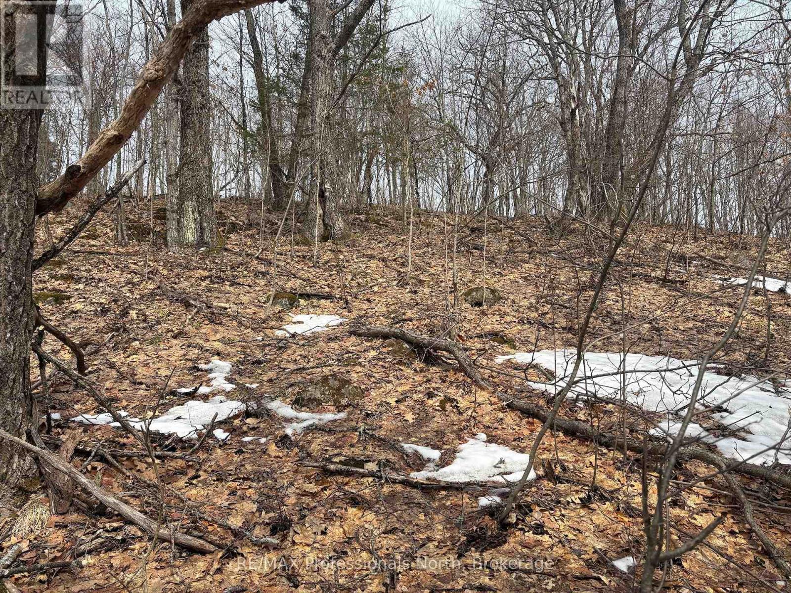 0 Trapper's Trail Road, Dysart Et Al, Ontario  K0M 1S0 - Photo 25 - X12953098