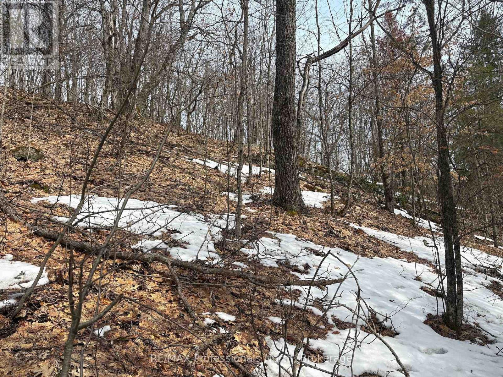 0 Trapper's Trail Road, Dysart Et Al, Ontario  K0M 1S0 - Photo 26 - X12953098