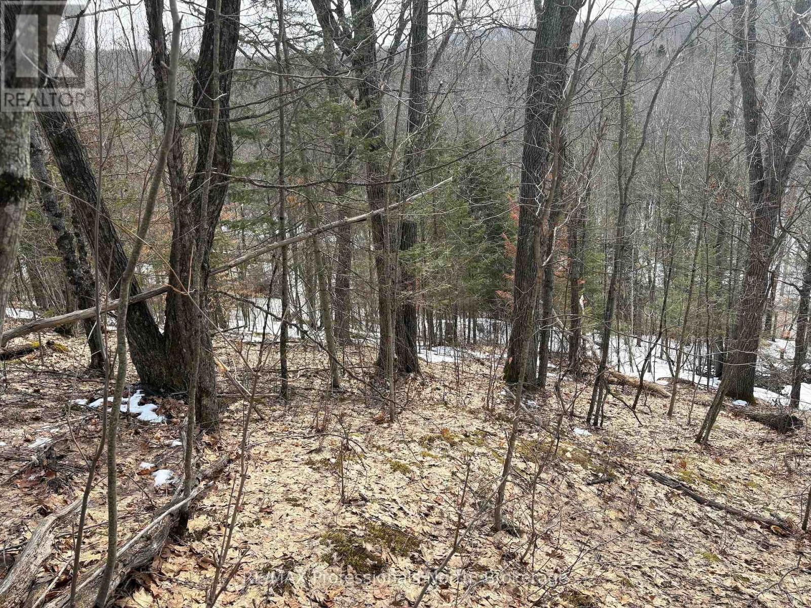 0 Trapper's Trail Road, Dysart Et Al, Ontario  K0M 1S0 - Photo 27 - X12953098