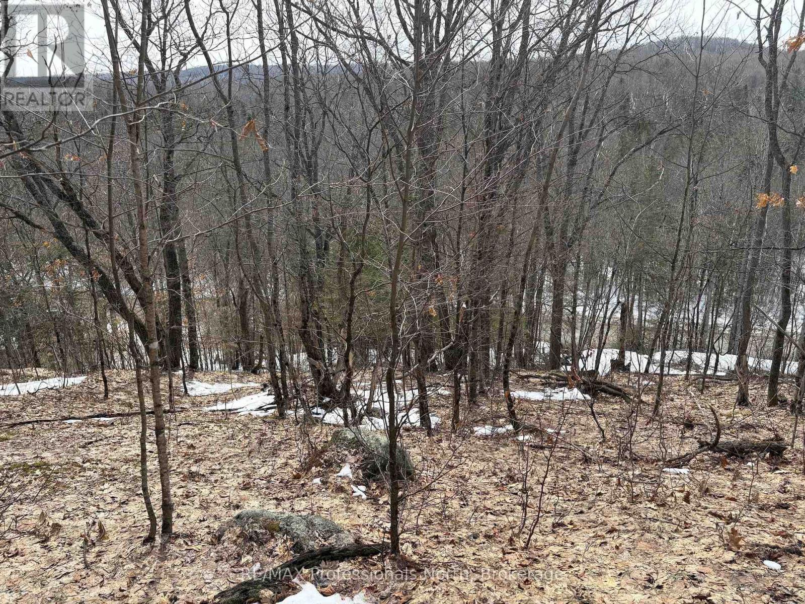 0 Trapper's Trail Road, Dysart Et Al, Ontario  K0M 1S0 - Photo 28 - X12953098