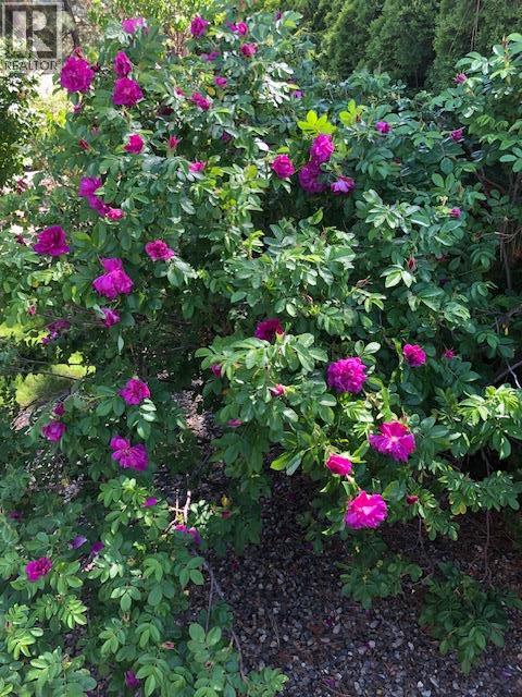 9510 97n Highway Unit# 5, Vernon, British Columbia  V1H 1R8 - Photo 43 - 10381362