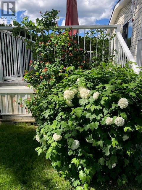 9510 97n Highway Unit# 5, Vernon, British Columbia  V1H 1R8 - Photo 40 - 10381362