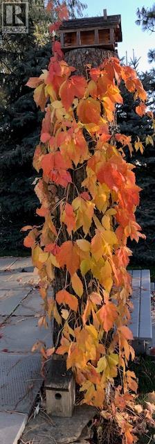 9510 97n Highway Unit# 5, Vernon, British Columbia  V1H 1R8 - Photo 46 - 10381362