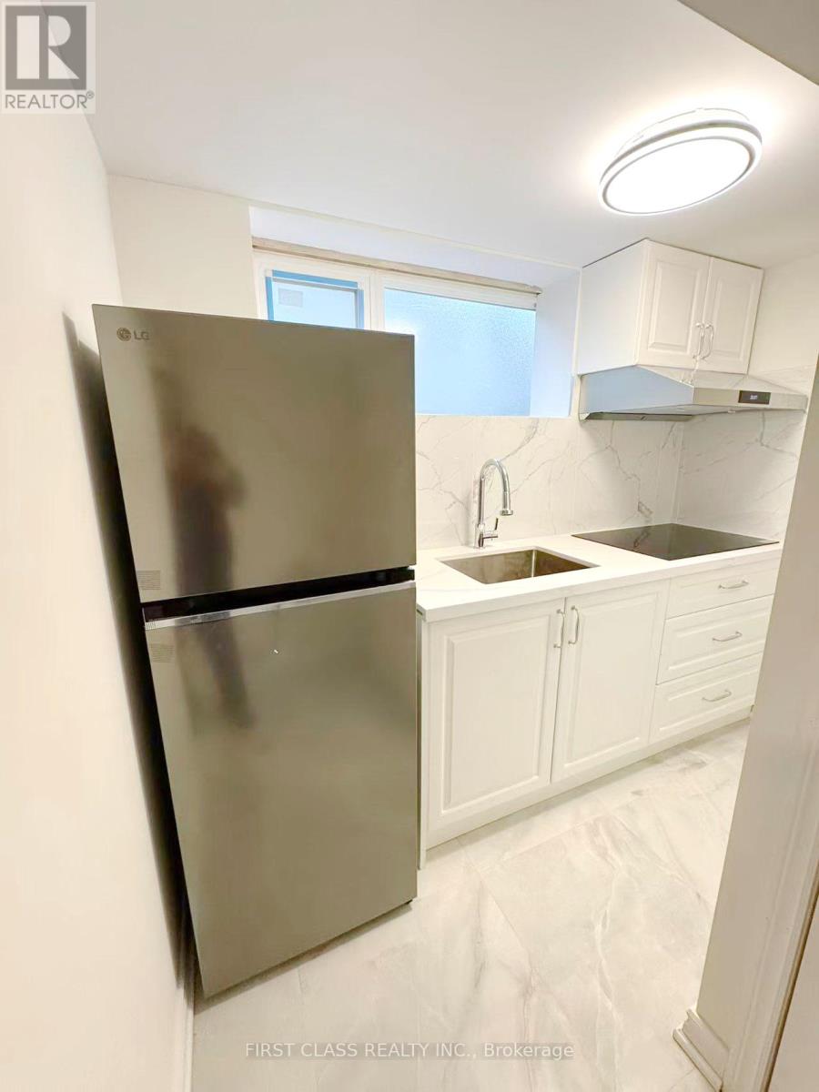 Lower - 741 Proctor Road, Burlington, Ontario  L7R 3E5 - Photo 17 - W12953116