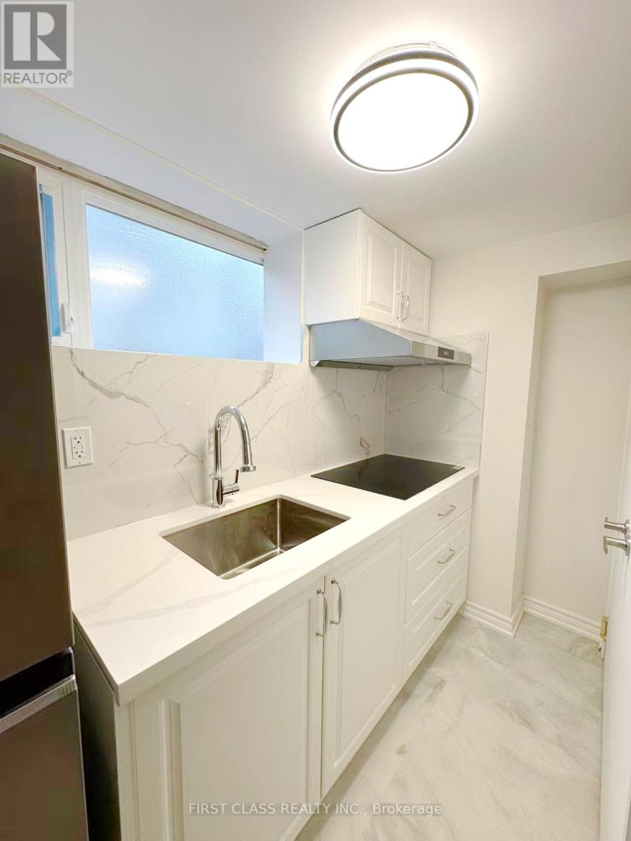 Lower - 741 Proctor Road, Burlington, Ontario  L7R 3E5 - Photo 18 - W12953116