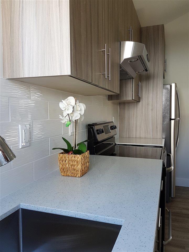 5902 131 Street, Surrey, British Columbia  V3X 0E4 - Photo 23 - R3105802