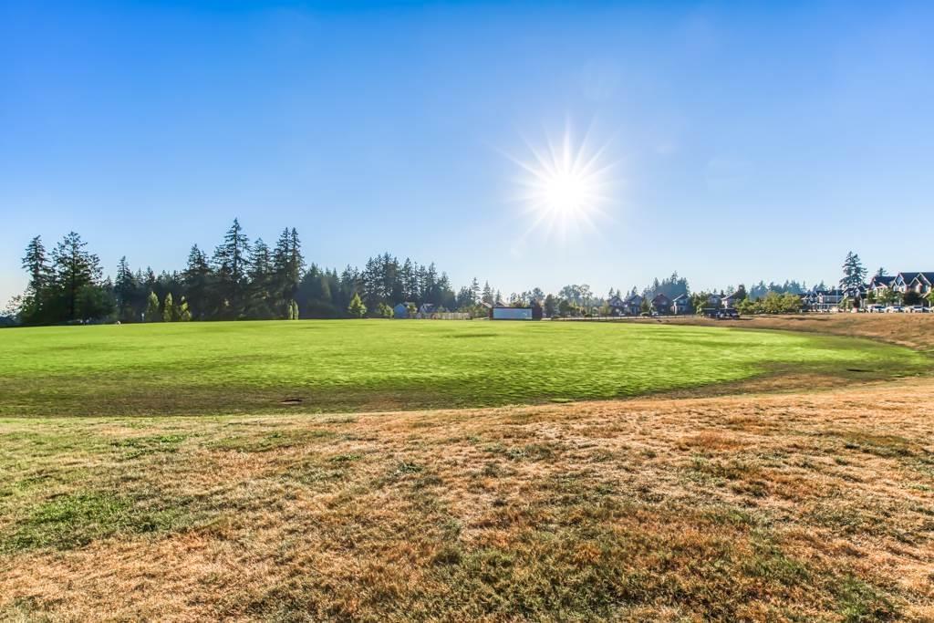 5902 131 Street, Surrey, British Columbia  V3X 0E4 - Photo 29 - R3105802