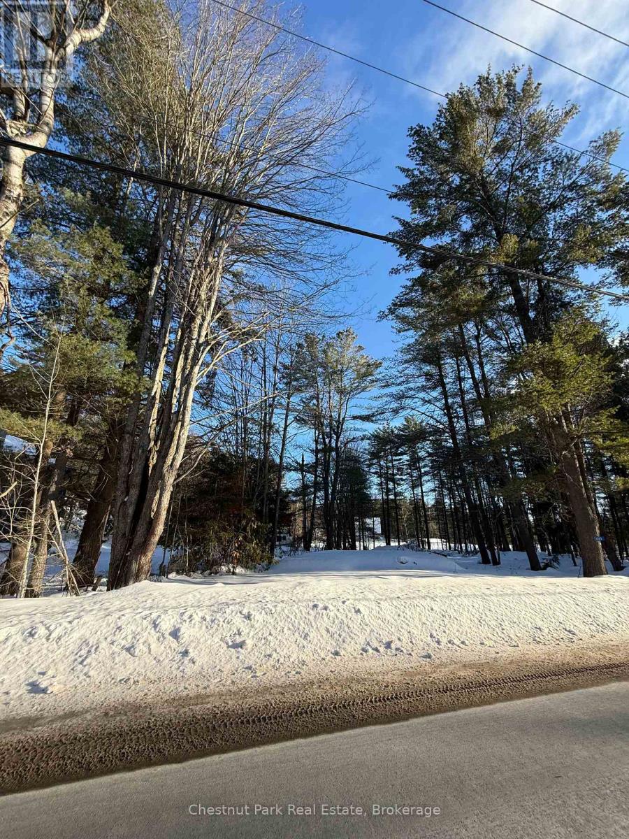 1765 Gravenhurst Parkway, Gravenhurst, Ontario  P1P 1R3 - Photo 3 - X11915518