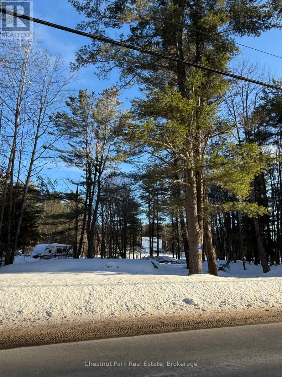 1765 Gravenhurst Parkway, Gravenhurst, Ontario  P1P 1R3 - Photo 4 - X11915518