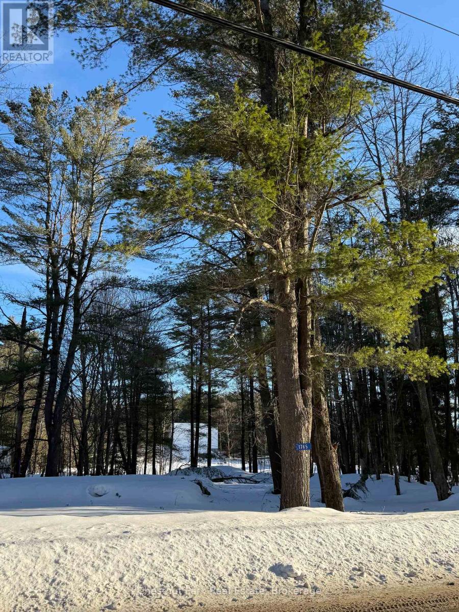 1765 Gravenhurst Parkway, Gravenhurst, Ontario  P1P 1R3 - Photo 5 - X11915518