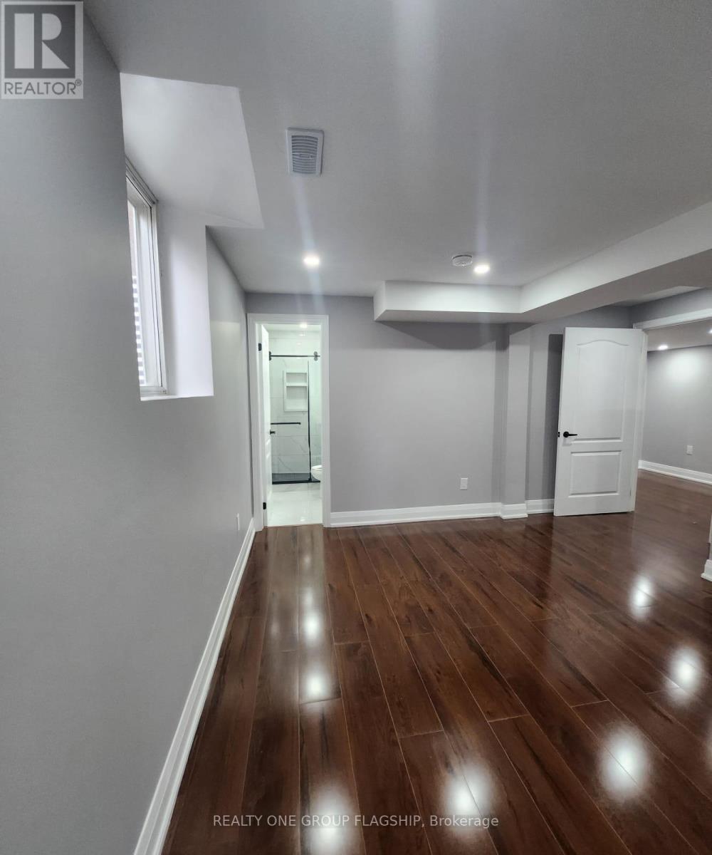 Lower - 15 Sasha Court, Hamilton, Ontario  L8E 0A3 - Photo 16 - X12953358