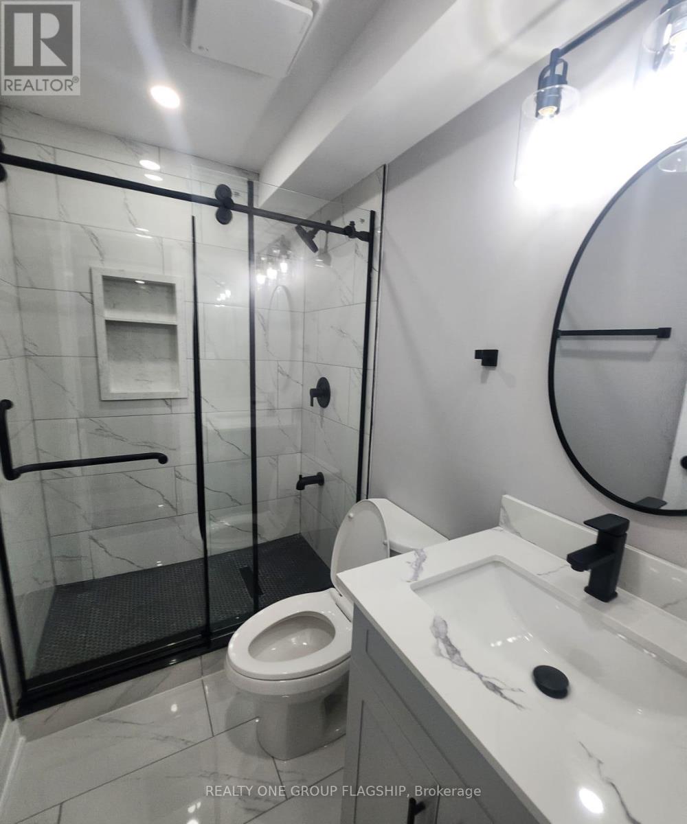 Lower - 15 Sasha Court, Hamilton, Ontario  L8E 0A3 - Photo 18 - X12953358