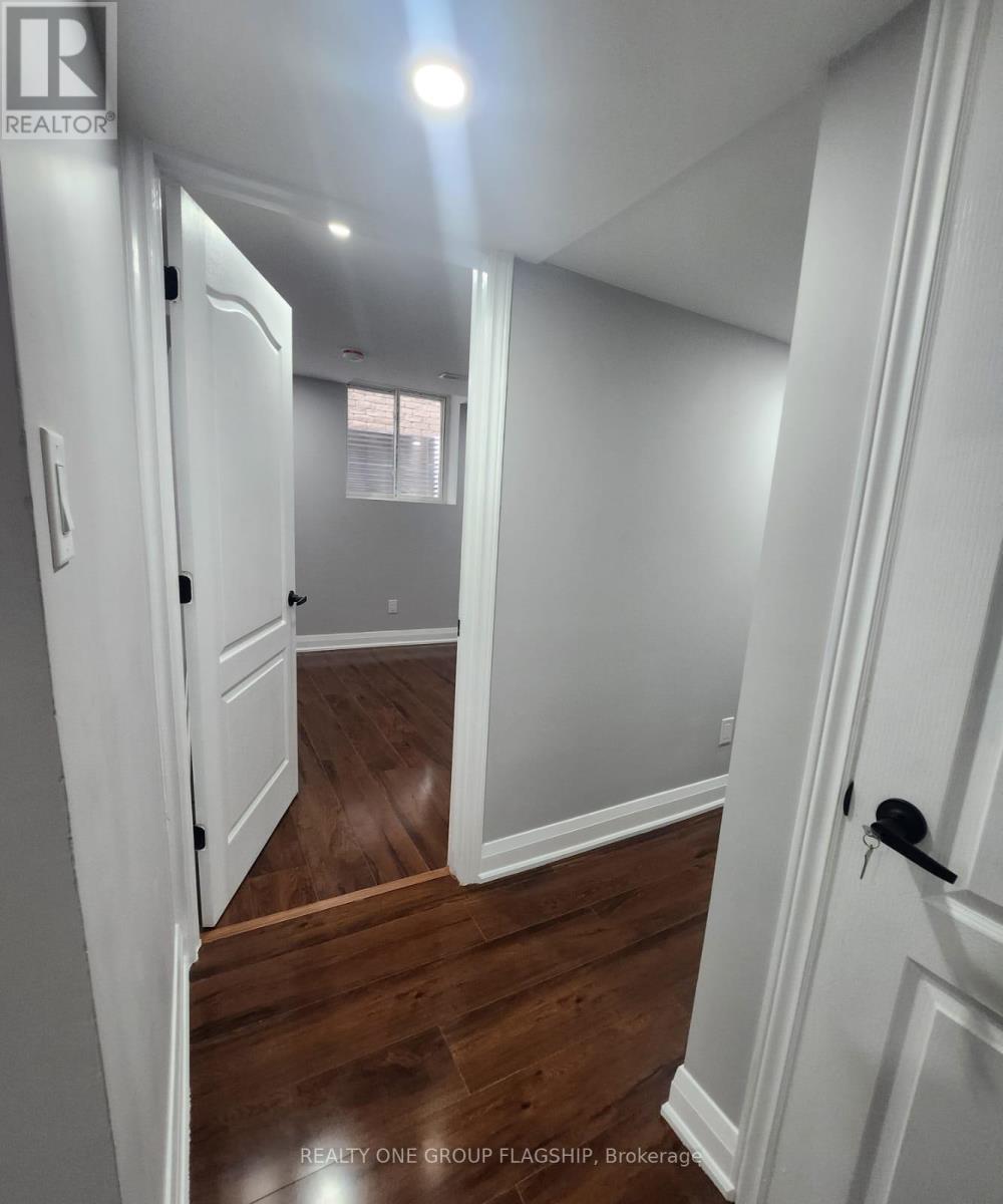 Lower - 15 Sasha Court, Hamilton, Ontario  L8E 0A3 - Photo 20 - X12953358