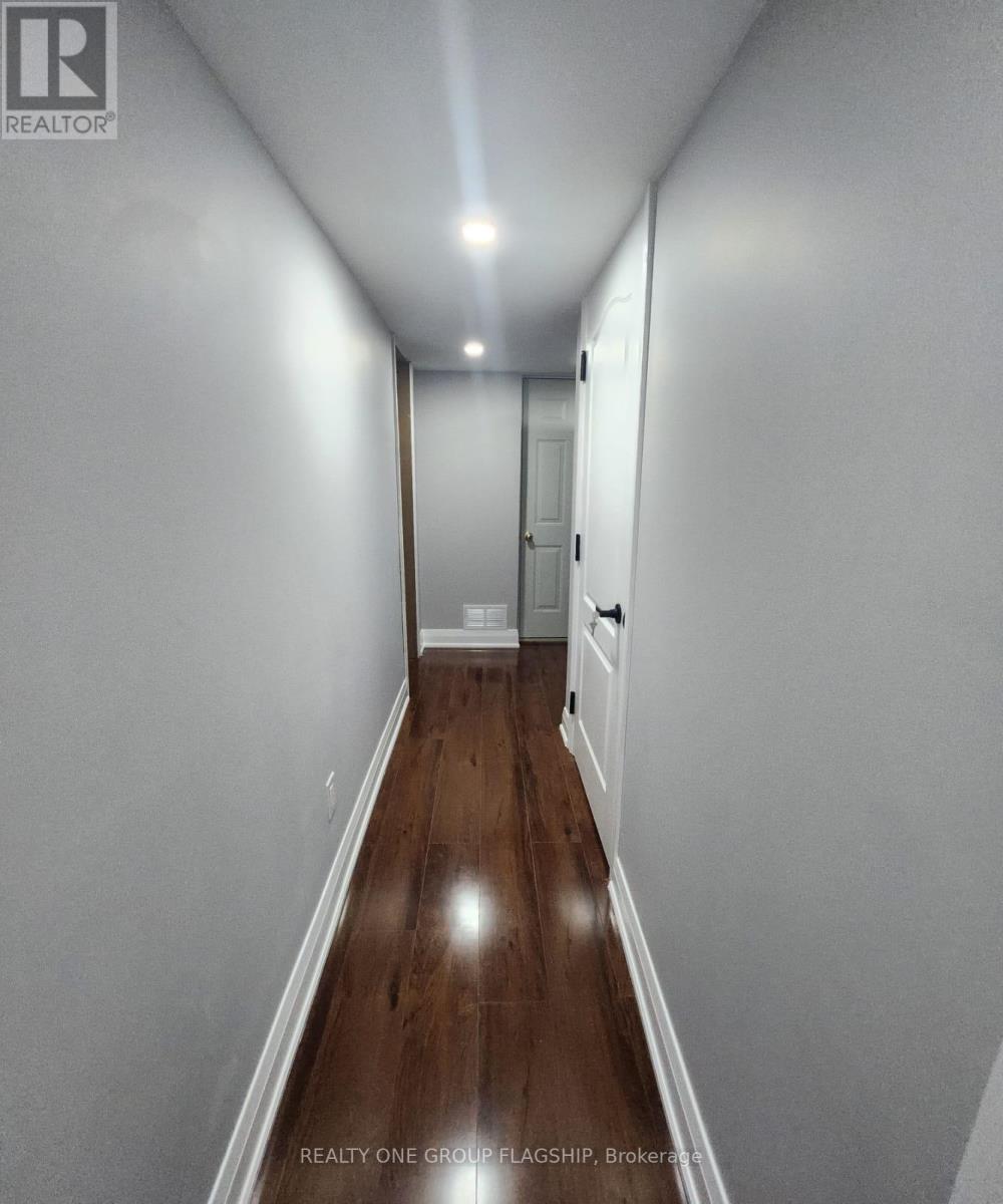 Lower - 15 Sasha Court, Hamilton, Ontario  L8E 0A3 - Photo 23 - X12953358