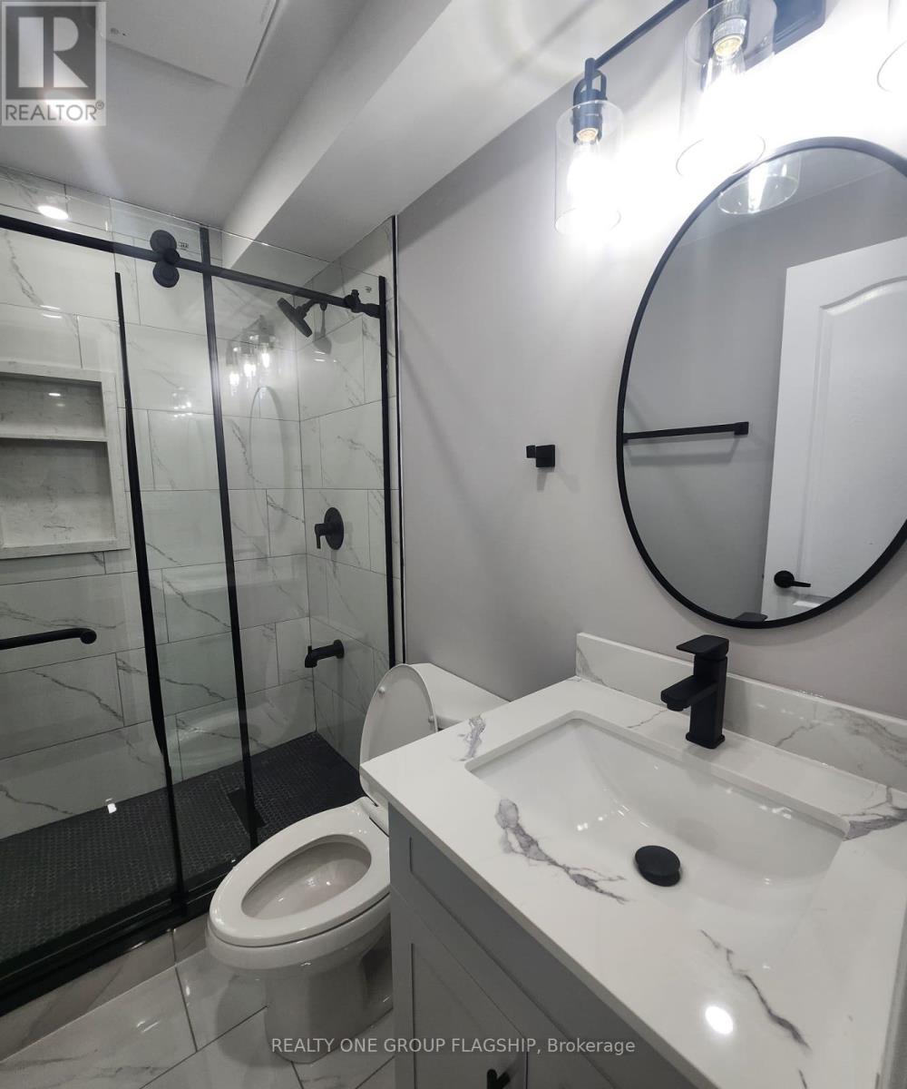 Lower - 15 Sasha Court, Hamilton, Ontario  L8E 0A3 - Photo 35 - X12953358