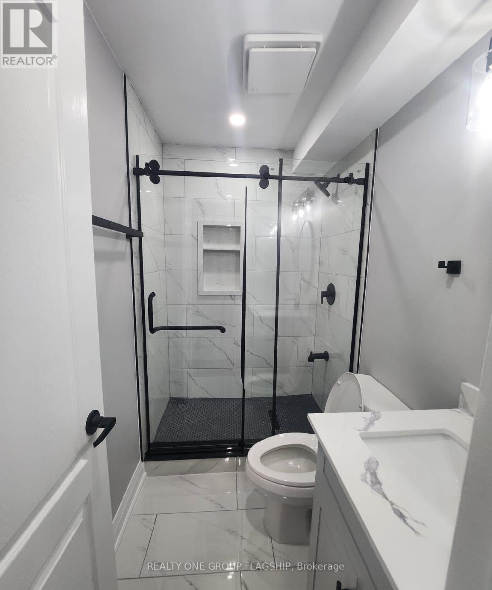 Lower - 15 Sasha Court, Hamilton, Ontario  L8E 0A3 - Photo 36 - X12953358