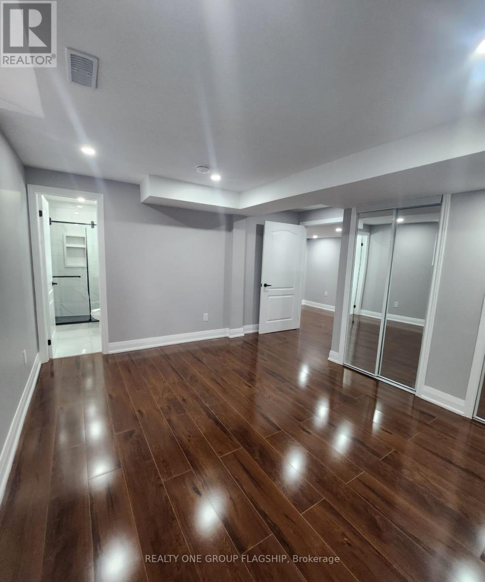 Lower - 15 Sasha Court, Hamilton, Ontario  L8E 0A3 - Photo 38 - X12953358