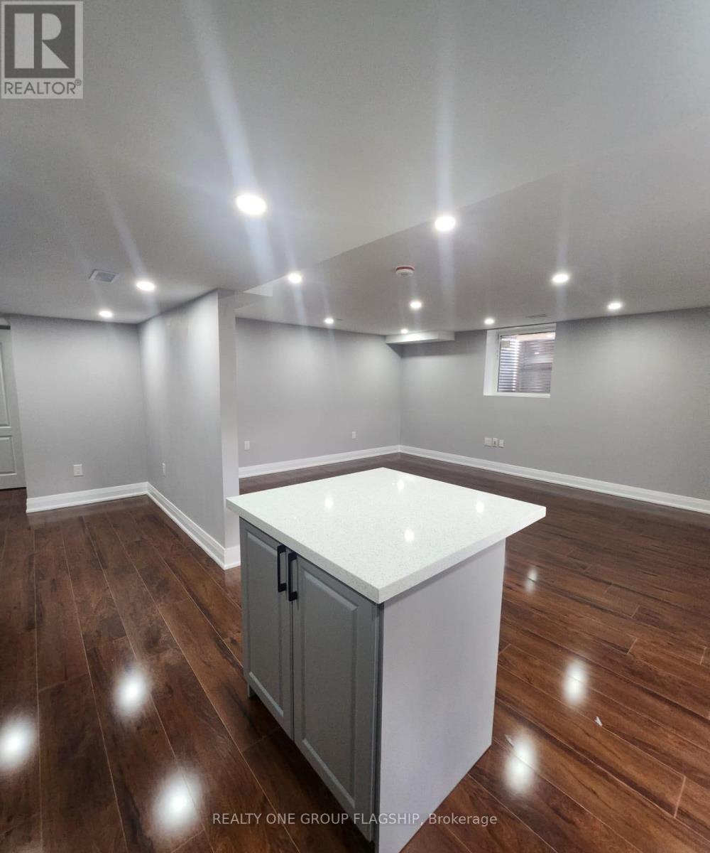 Lower - 15 Sasha Court, Hamilton, Ontario  L8E 0A3 - Photo 9 - X12953358