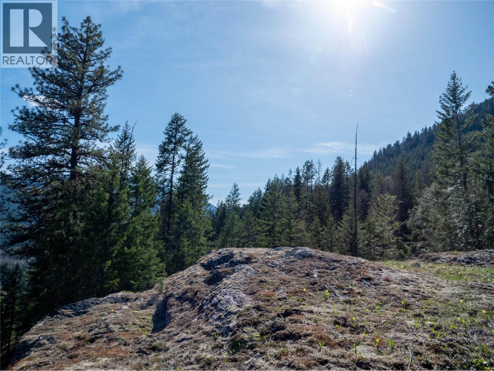 Dl 12488 Mckean Road, Appledale, British Columbia  V0G 2J0 - Photo 21 - 10381857