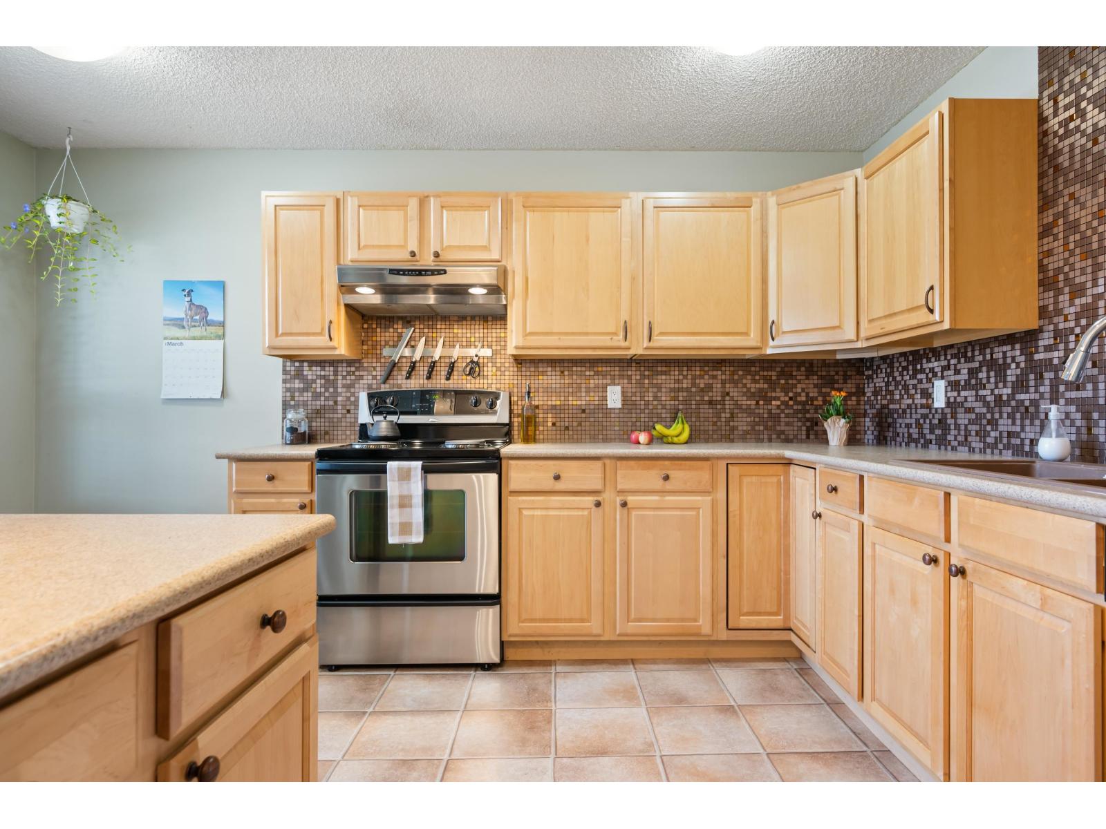 291 27411 28th Avenue, Langley, British Columbia  V4W 3V2 - Photo 9 - R3106579