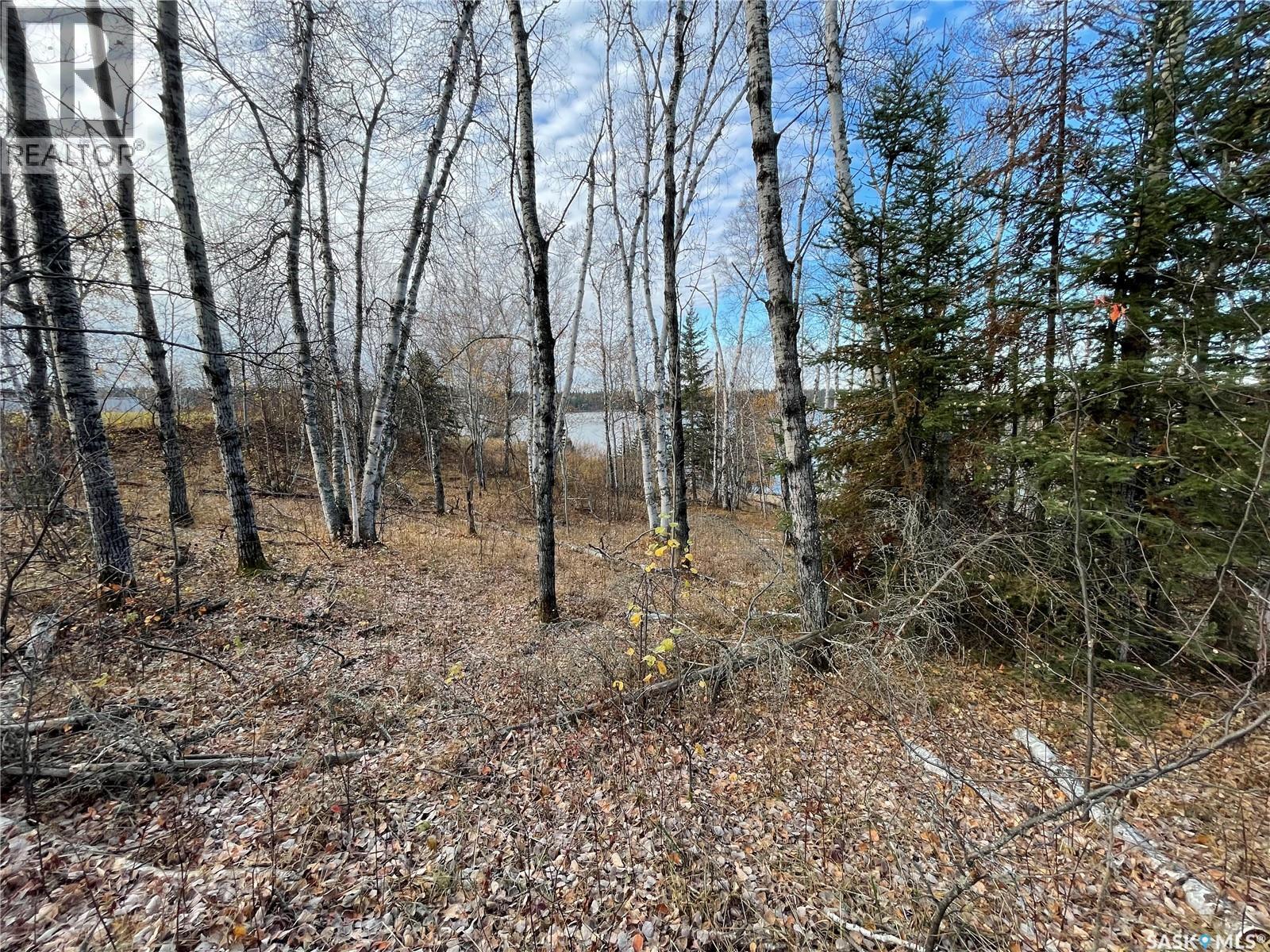 Lot 7 - Sunset Cres, Big River Rm No. 555, Saskatchewan  S0J 0E0 - Photo 12 - SK031607