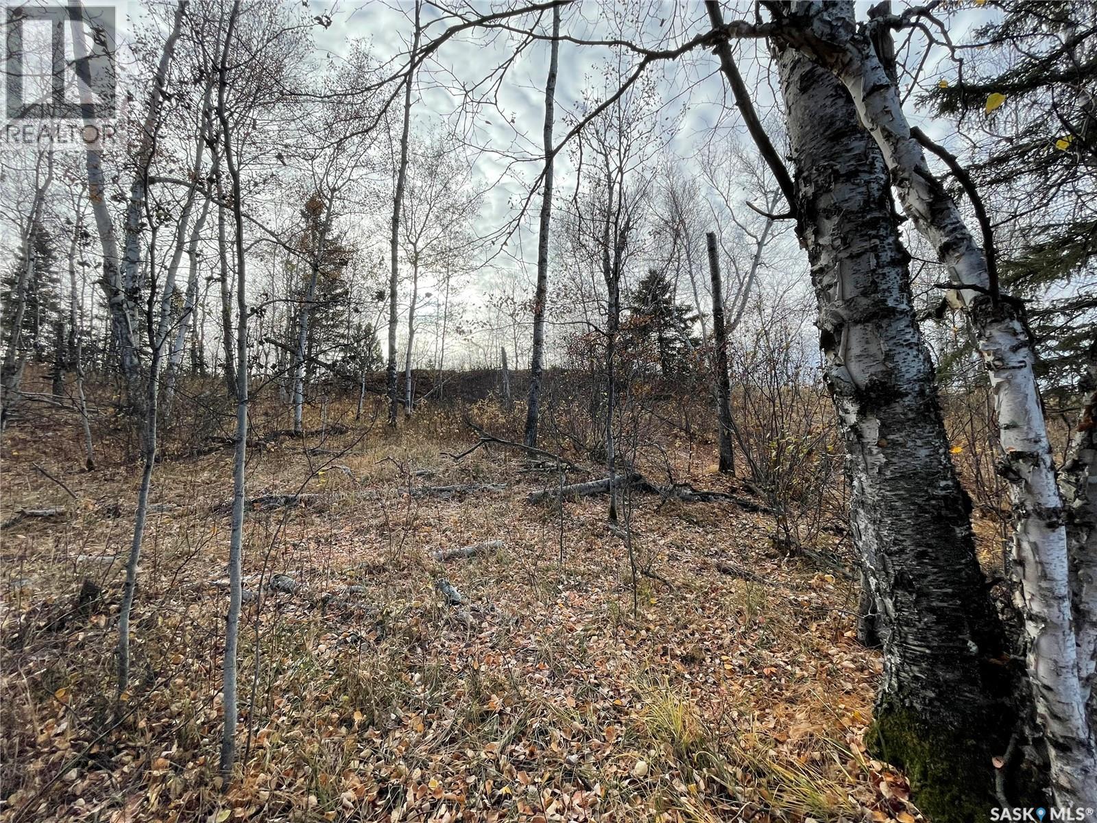 Lot 7 - Sunset Cres, Big River Rm No. 555, Saskatchewan  S0J 0E0 - Photo 13 - SK031607