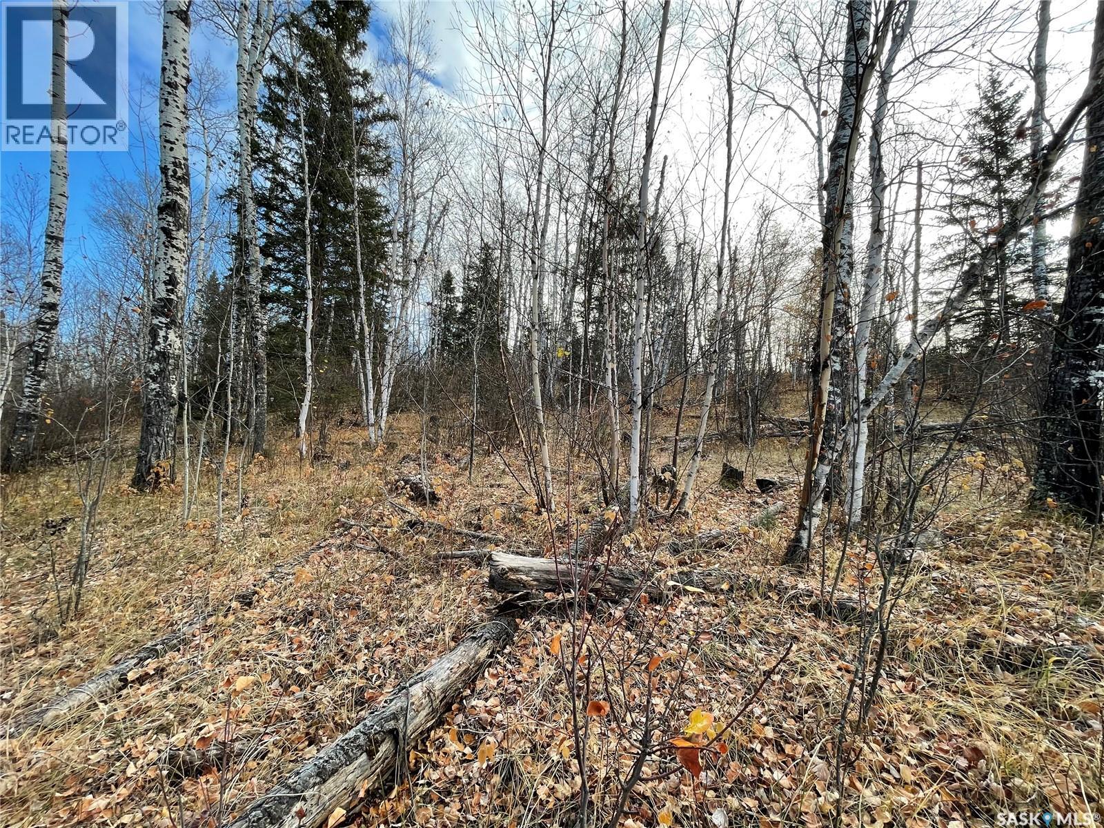 Lot 7 - Sunset Cres, Big River Rm No. 555, Saskatchewan  S0J 0E0 - Photo 14 - SK031607