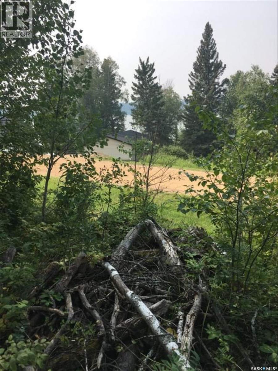 Lot 7 - Sunset Cres, Big River Rm No. 555, Saskatchewan  S0J 0E0 - Photo 15 - SK031607