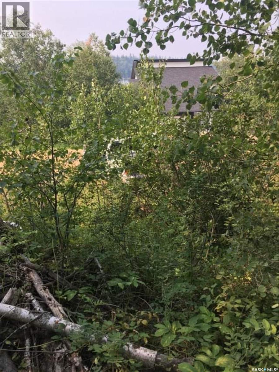 Lot 7 - Sunset Cres, Big River Rm No. 555, Saskatchewan  S0J 0E0 - Photo 16 - SK031607