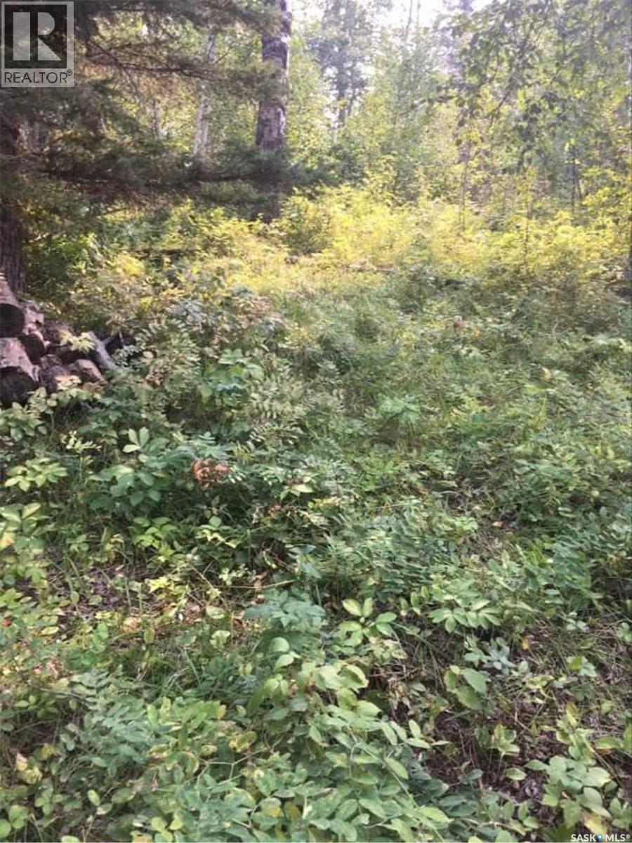 Lot 7 - Sunset Cres, Big River Rm No. 555, Saskatchewan  S0J 0E0 - Photo 17 - SK031607