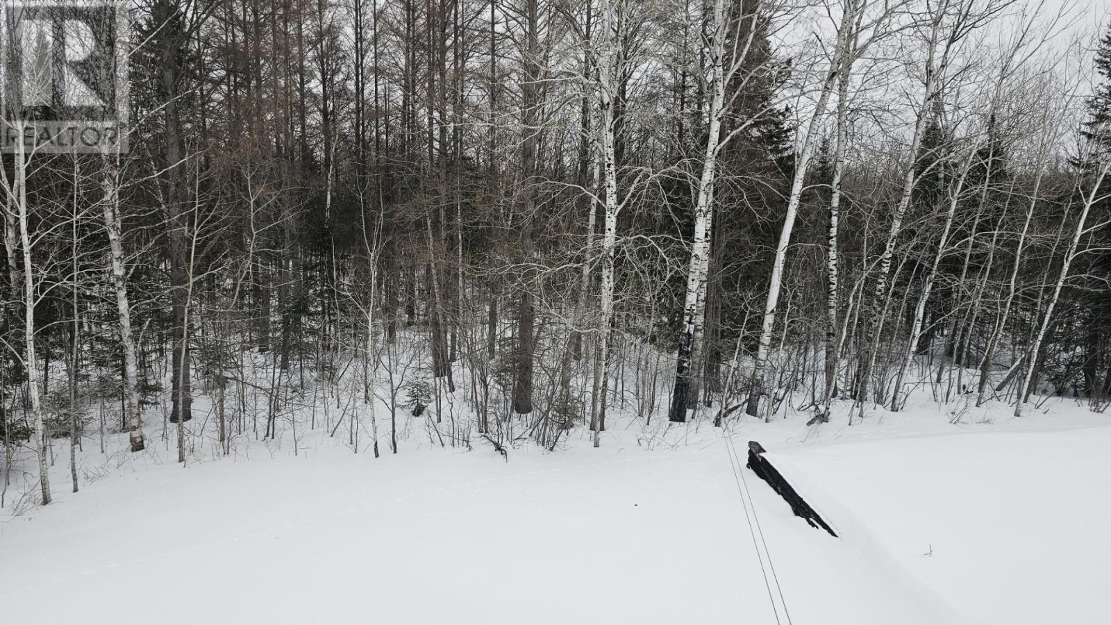 164 Morrow Rd, Rural Thunder Bay, Ontario  P0T 2G0 - Photo 26 - TB2600612