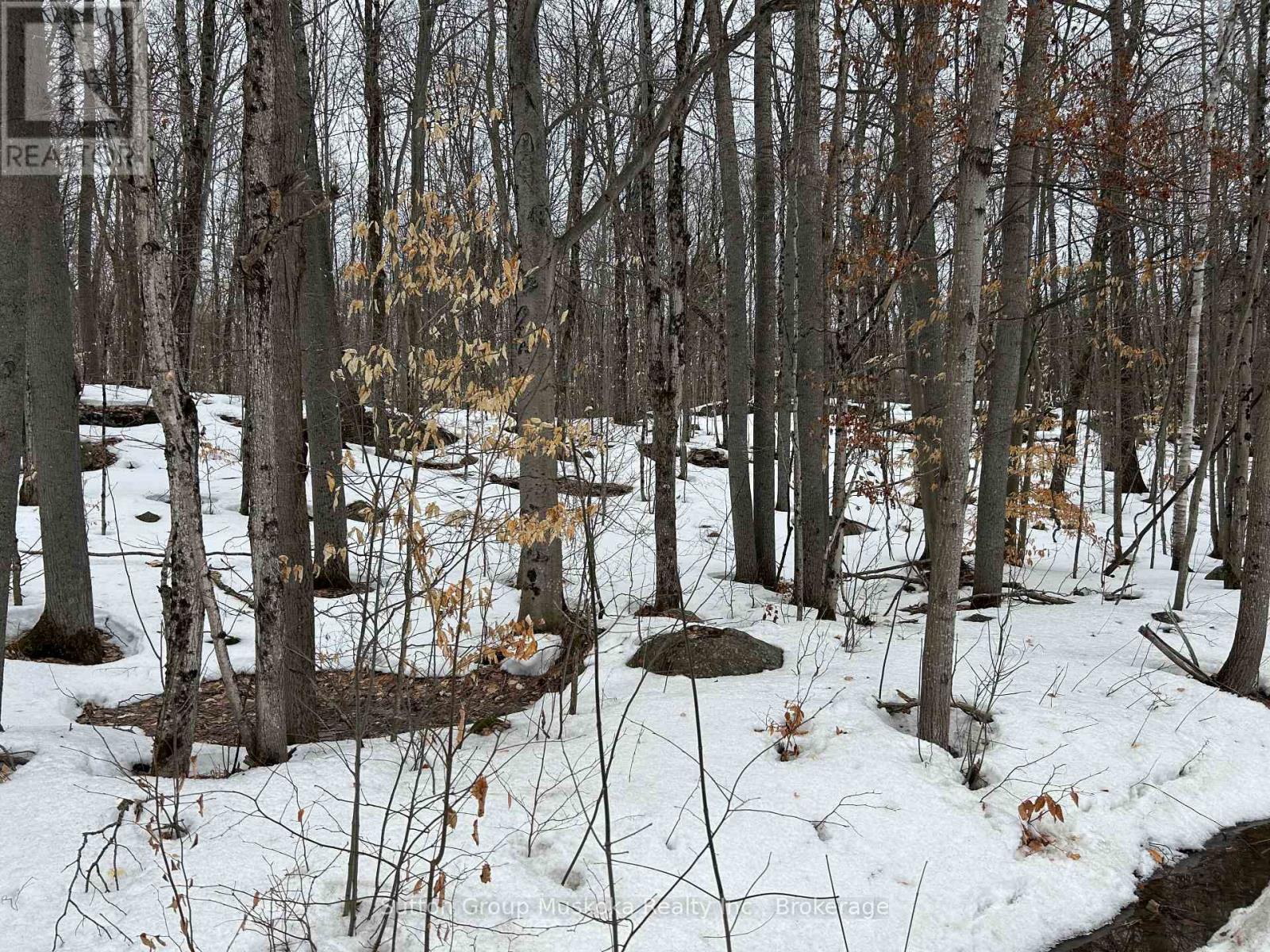 0 TALLY HO WINTER PARK ROAD, Lake of Bays, Ontario