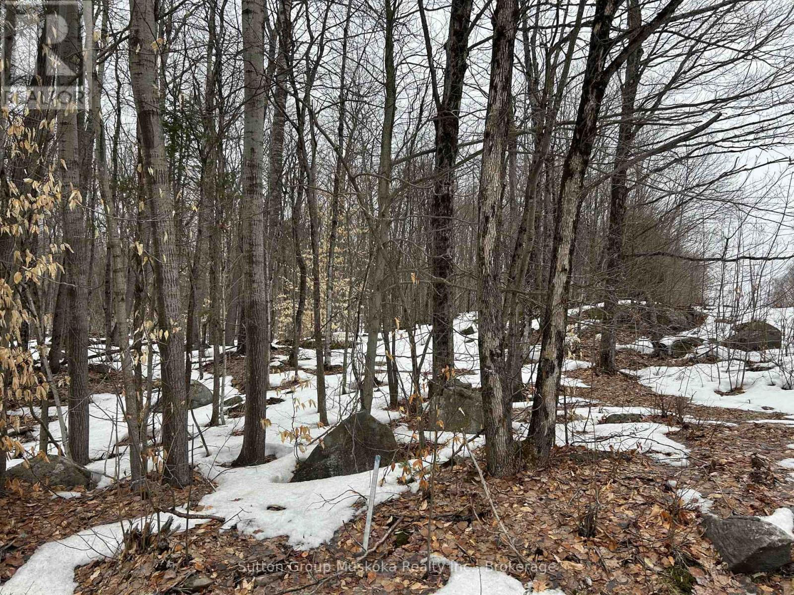 0 Tally Ho Winter Park Road, Lake Of Bays, Ontario  P1H 2J3 - Photo 2 - X12953526