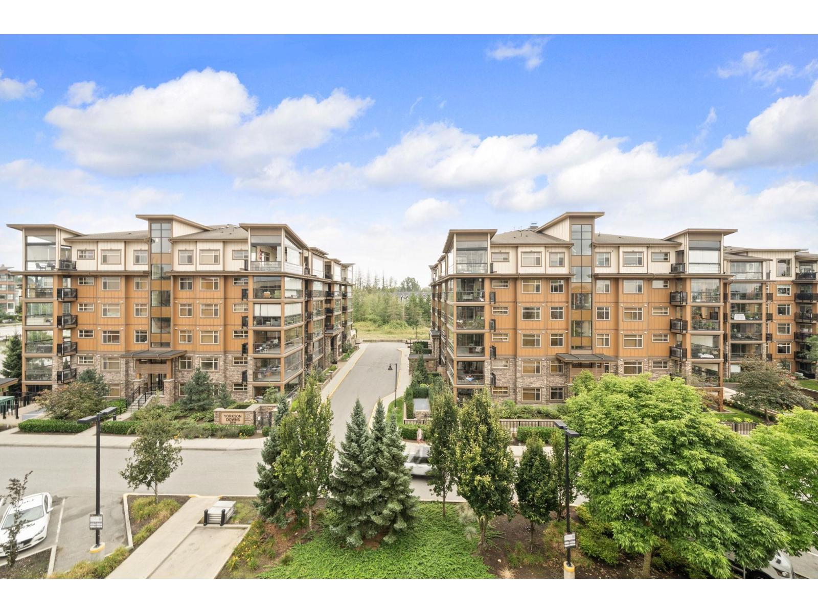 419 20728 Willoughby Town Centre Drive, Langley, British Columbia  V2Y 0P3 - Photo 25 - R3106176