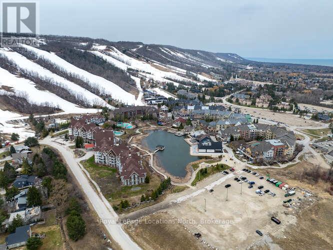 163 Courtland Street, Blue Mountains, Ontario  L9Y 5L7 - Photo 44 - X12953762