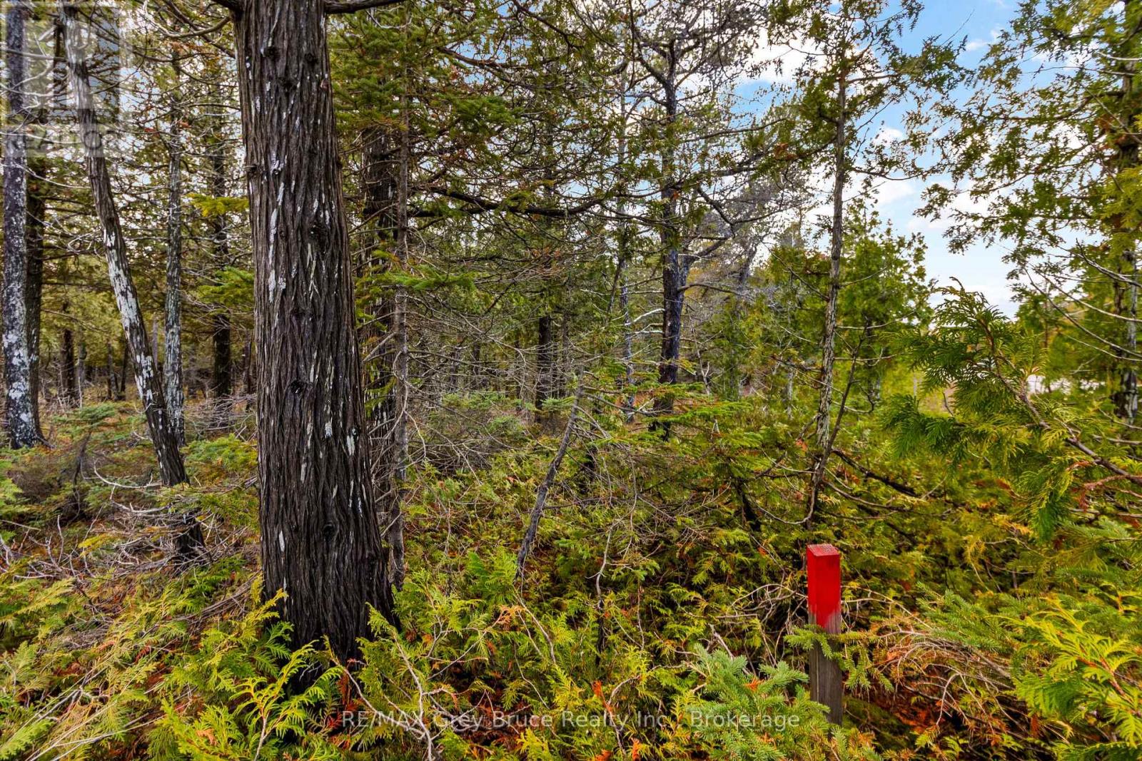 660 Dorcas Bay Road, Northern Bruce Peninsula, Ontario  N0H 2R0 - Photo 17 - X12953890