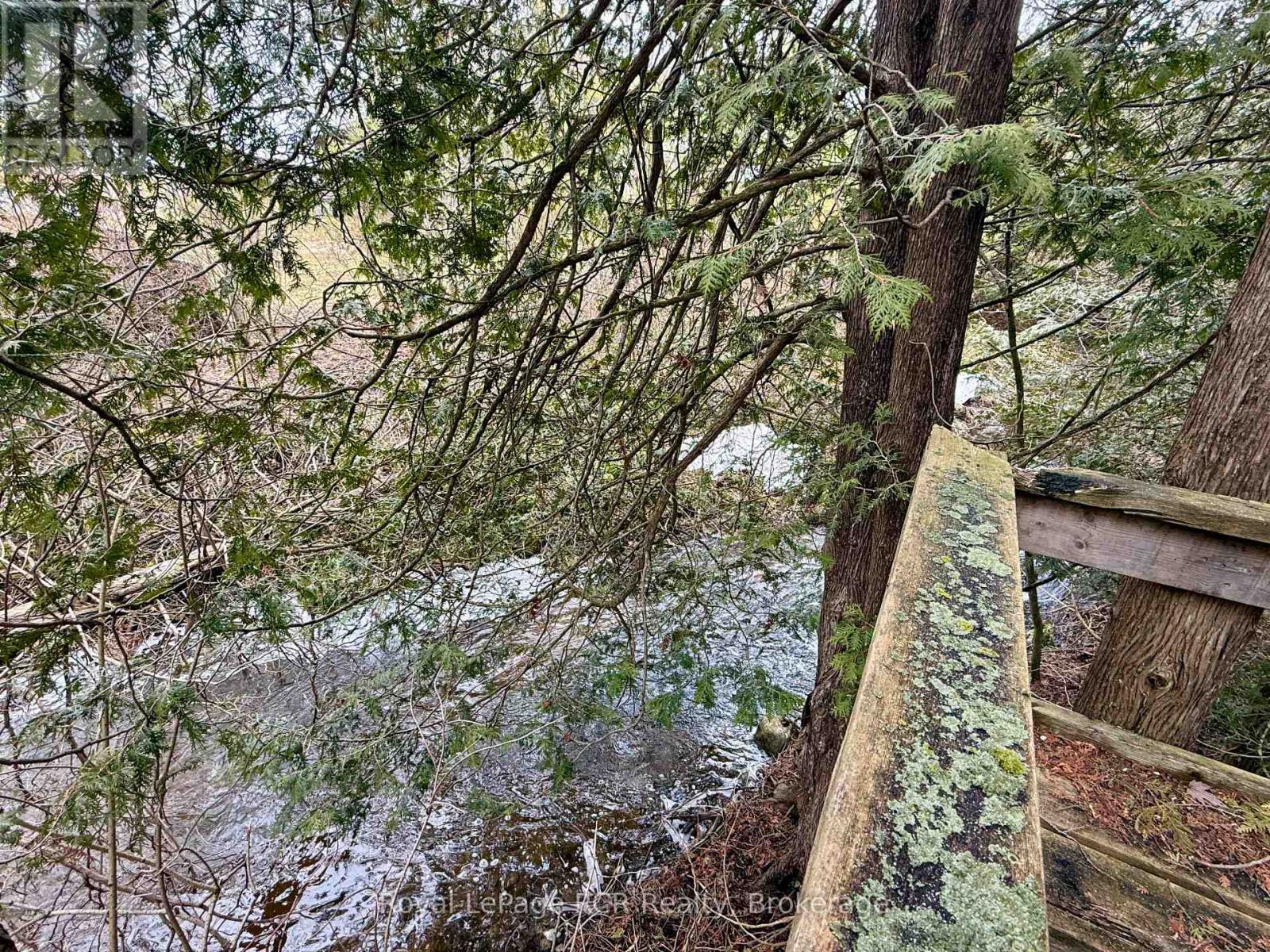 501265 10th Concession, West Grey, Ontario  N0G 1S0 - Photo 27 - X12953946