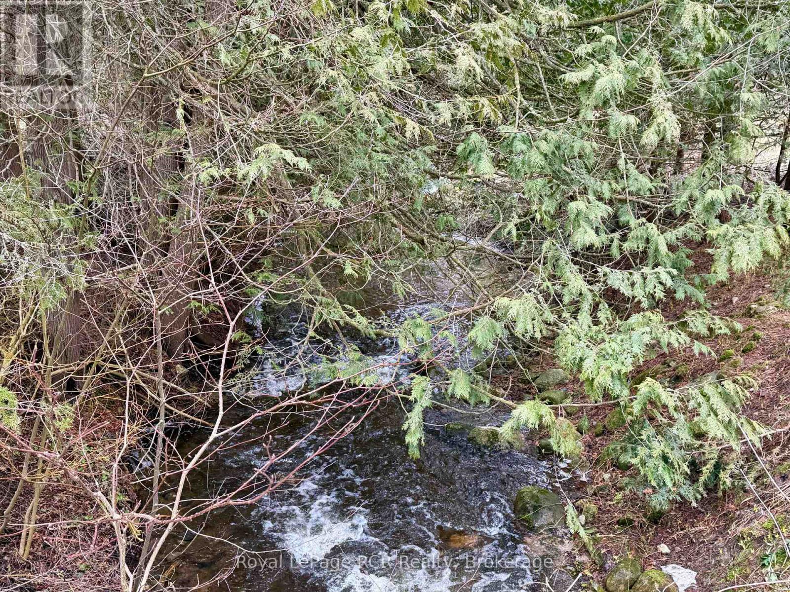 501265 10th Concession, West Grey, Ontario  N0G 1S0 - Photo 32 - X12953946