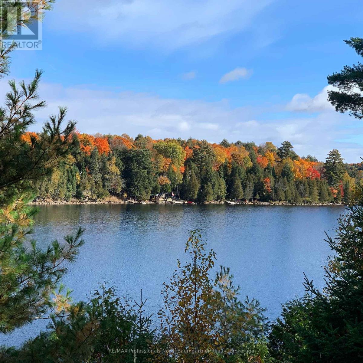 1012 Coulson Lane, Highlands East, Ontario  K0M 1R0 - Photo 44 - X12954018