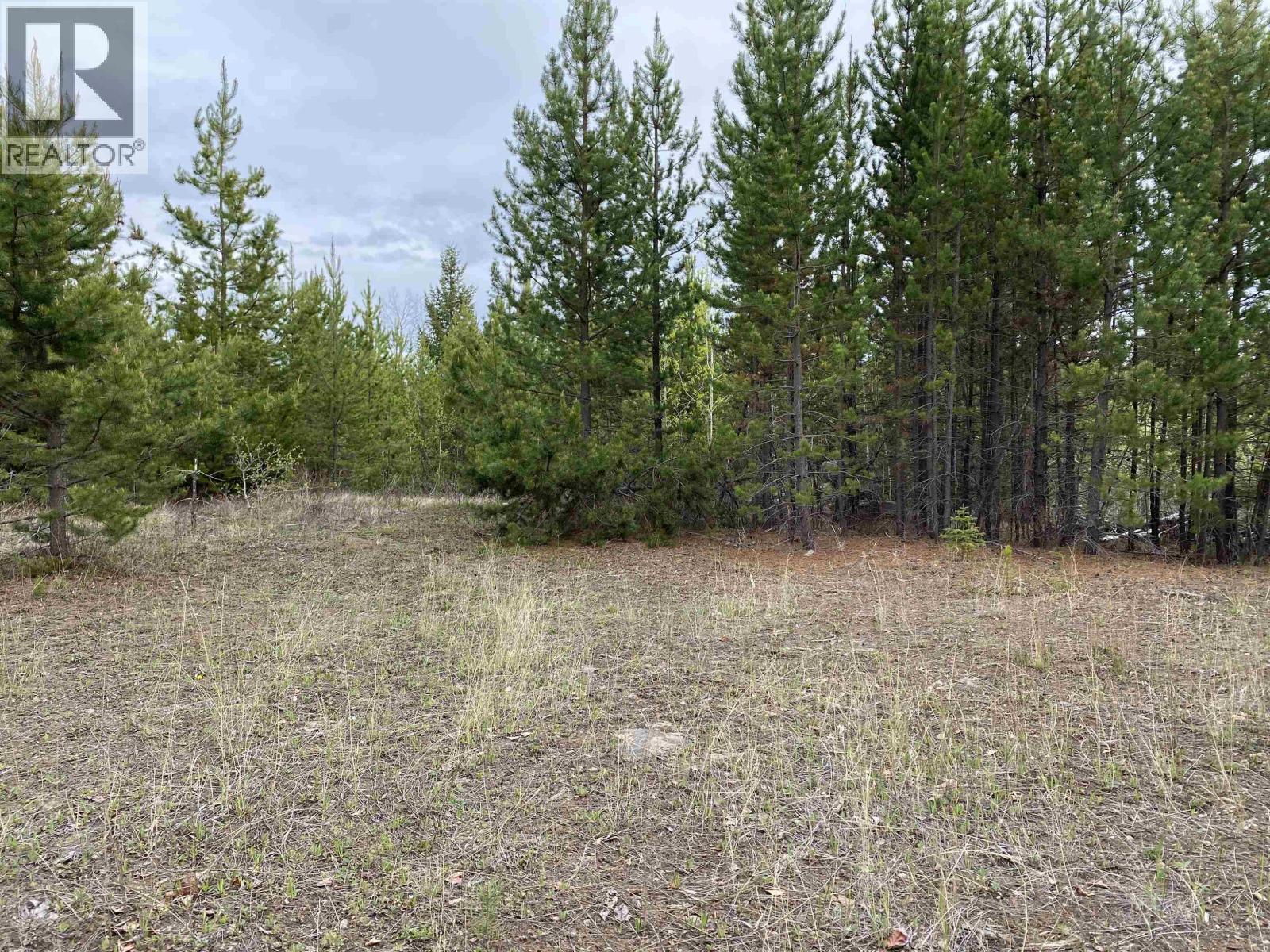 Blk A 94 Mile Frontage Road, 100 Mile House, British Columbia  V0K 2E2 - Photo 3 - R3106710