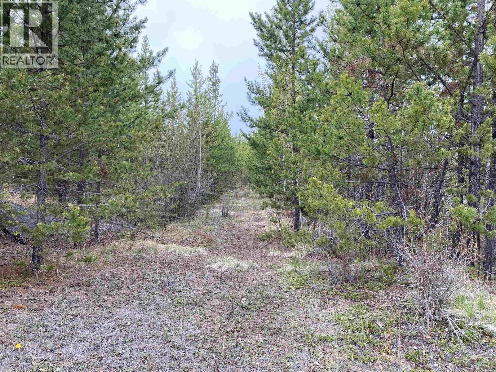 Blk A 94 Mile Frontage Road, 100 Mile House, British Columbia  V0K 2E2 - Photo 5 - R3106710