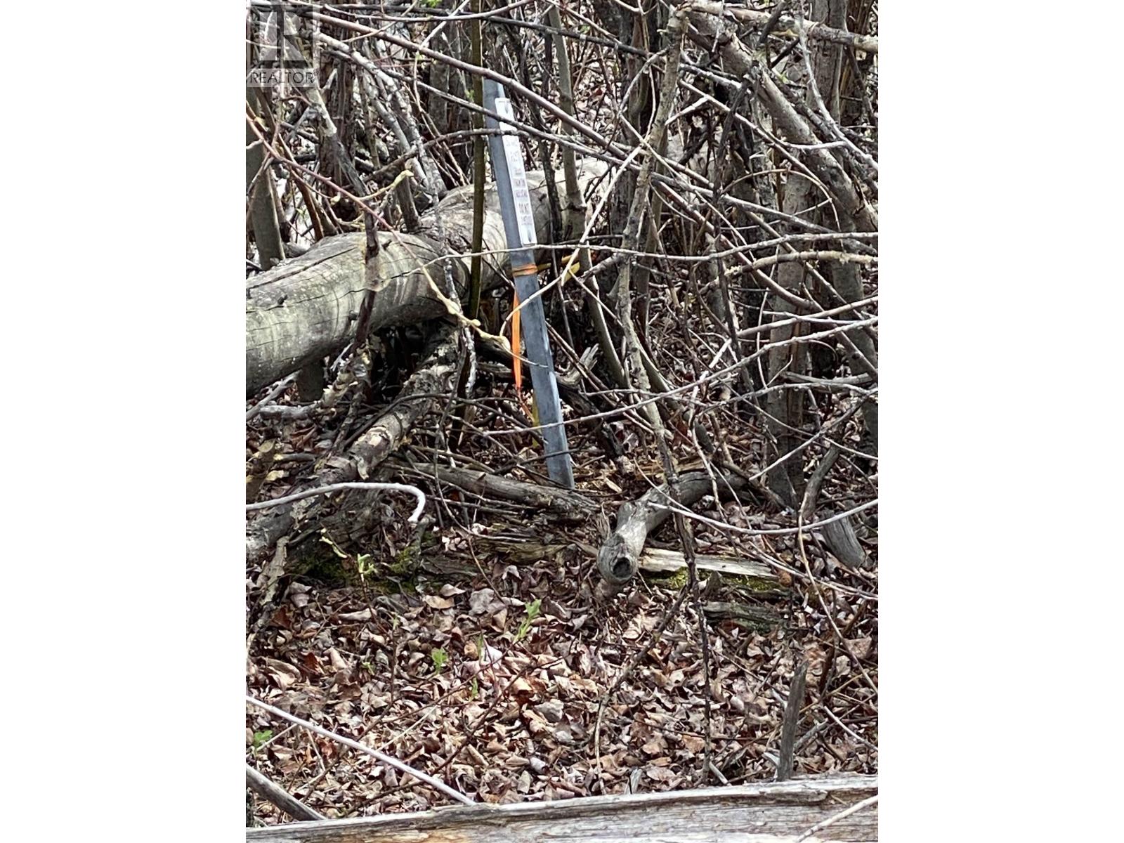 Blk A 94 Mile Frontage Road, 100 Mile House, British Columbia  V0K 2E2 - Photo 6 - R3106710