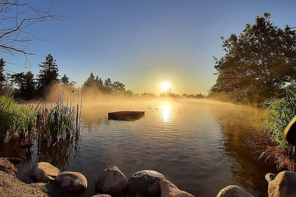 309 5485 Brydon Crescent, Langley, British Columbia  V3A 0N5 - Photo 27 - R3106700