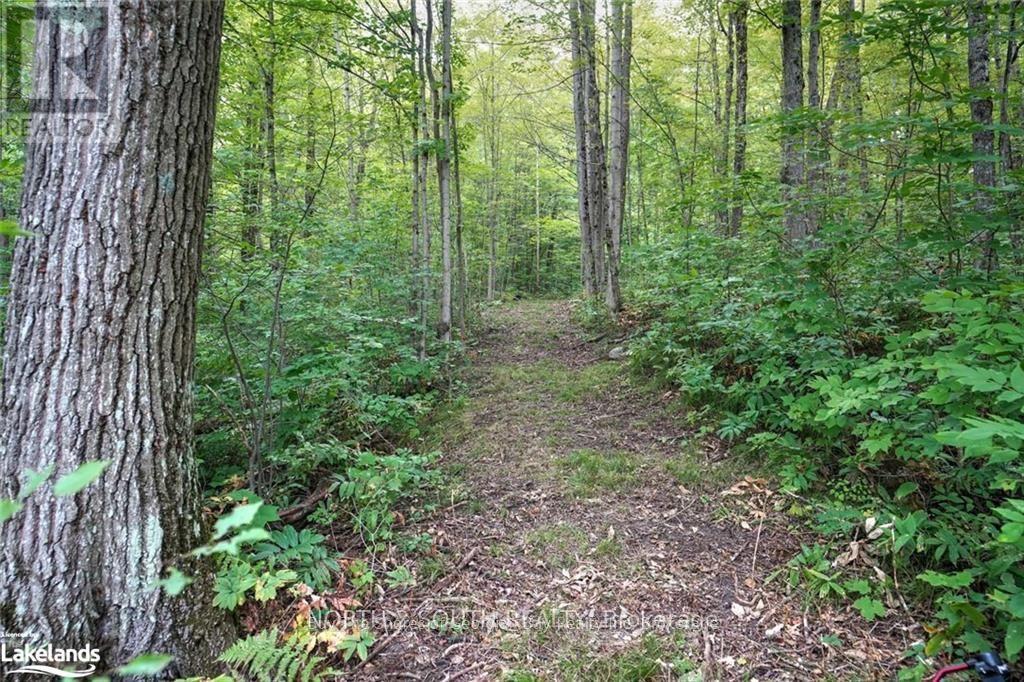 44 - 1088 Ashgrove Trail W, Frontenac, Ontario  K0H 1B0 - Photo 10 - X12953984