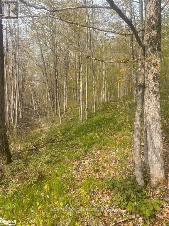 44 - 1088 Ashgrove Trail W, Frontenac, Ontario  K0H 1B0 - Photo 12 - X12953984