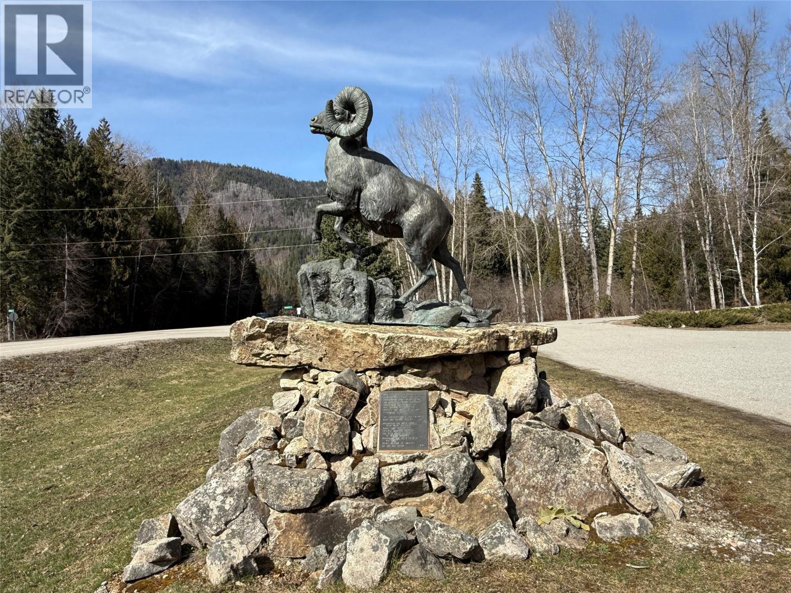 Vector Road Lot# 2, Salmo, British Columbia  V0G 1Z0 - Photo 2 - 10381166