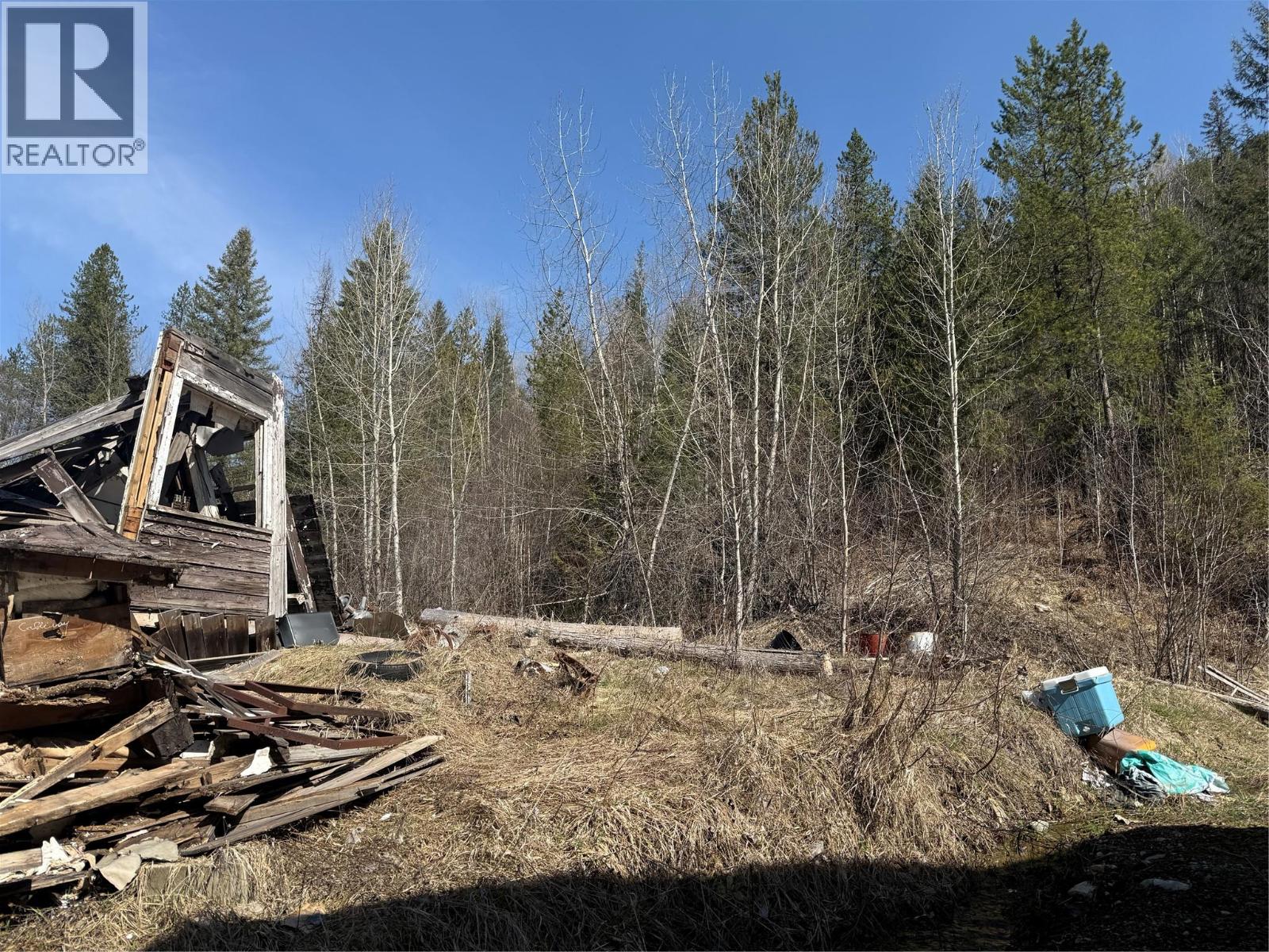 Vector Road Lot# 2, Salmo, British Columbia  V0G 1Z0 - Photo 6 - 10381166